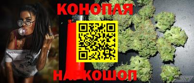 a pvp Заводоуковск
