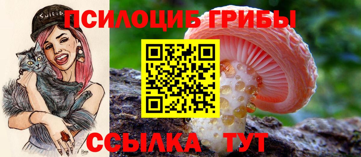 Галлюциногенные грибы MAGIC MUSHROOMS  где можно купить наркотик  Глазов  Вход с VPN 