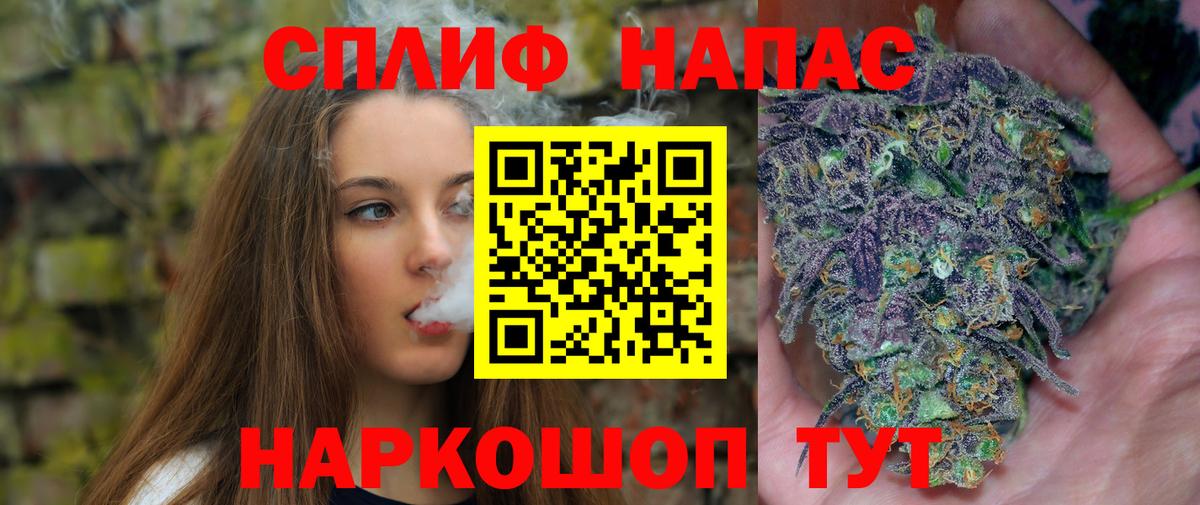 Бошки Шишки ГИДРОПОН Глазов